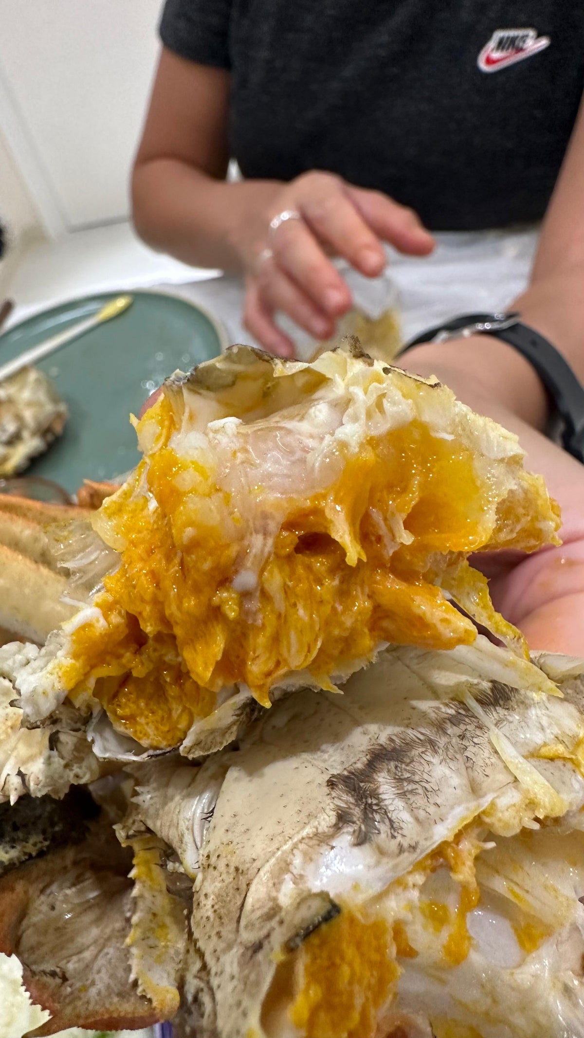 Male Hairy Crab